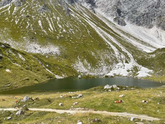 Zaunersee